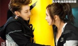 在线观看谈判官,职场精英的智慧对决与情感纠葛